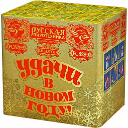 УДАЧИ В НОВОМ ГОДУ!