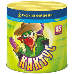 КАКТУС